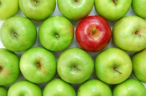 camden accountants apple crowd