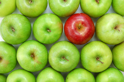 camden accountants apple crowd